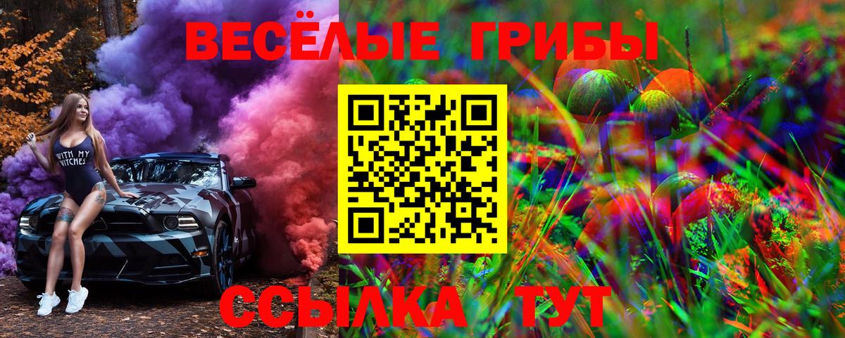 Галлюциногенные грибы Magic Shrooms  Вход с VPN  Тула 